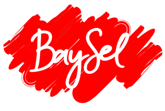 logo of baysel